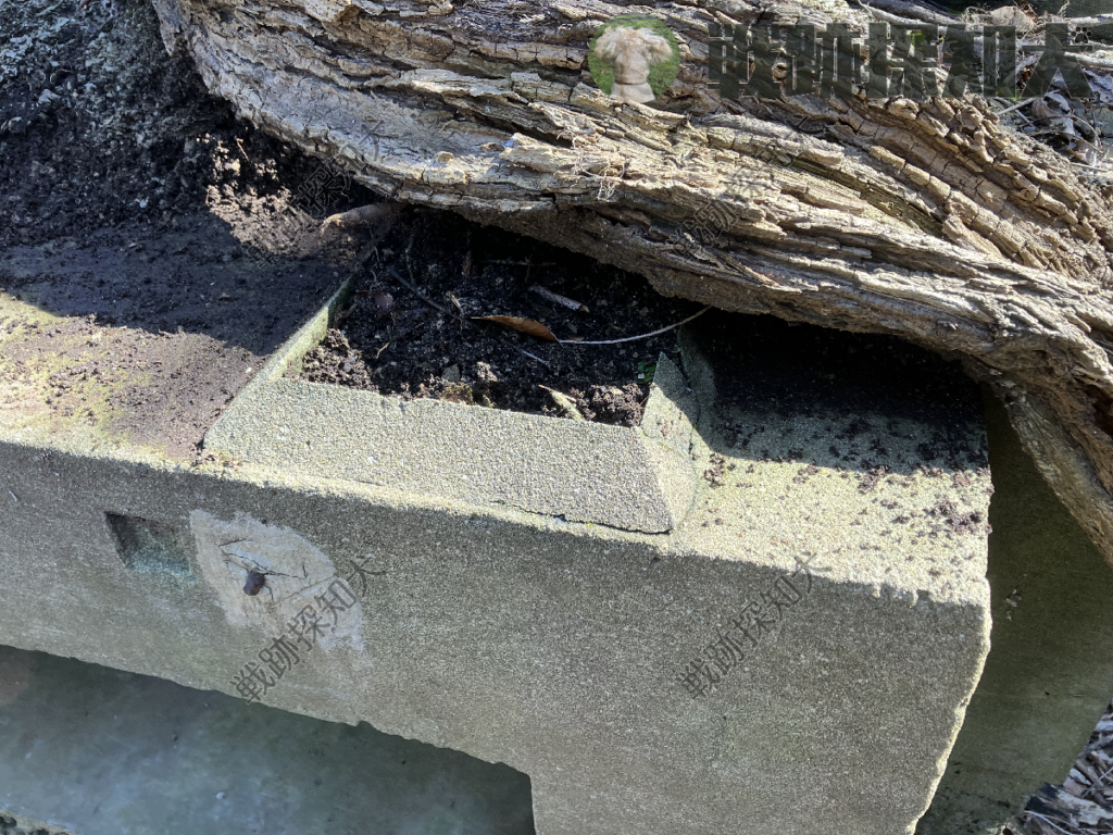 もう一つのコンクリート台の上部