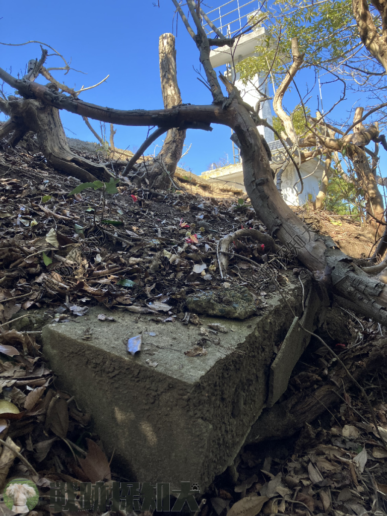 見張所跡(推定)の遺構の近くにあるコンクリート片