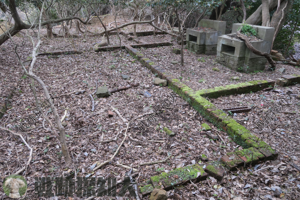 甲衛所全景(西側より撮影)