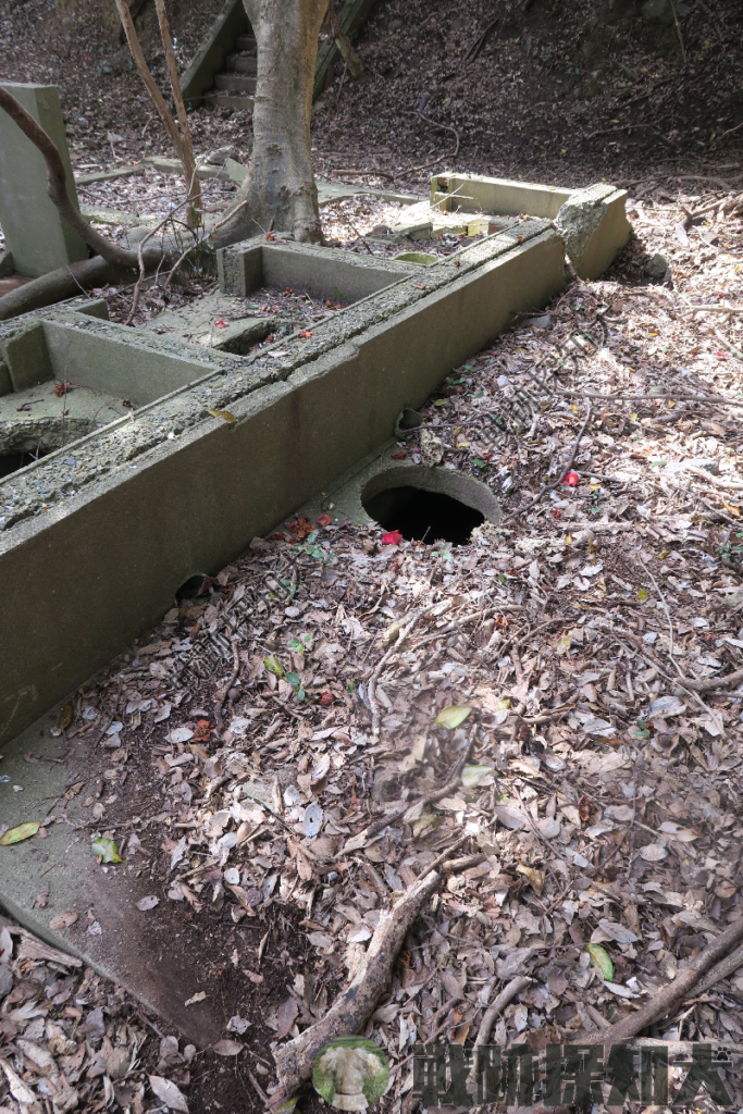 便所の北東側にある便槽の穴