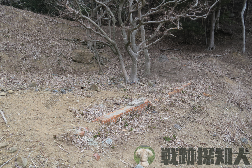 発電機室と思われる遺構(南側より撮影):ごく一部の基礎しか確認できない