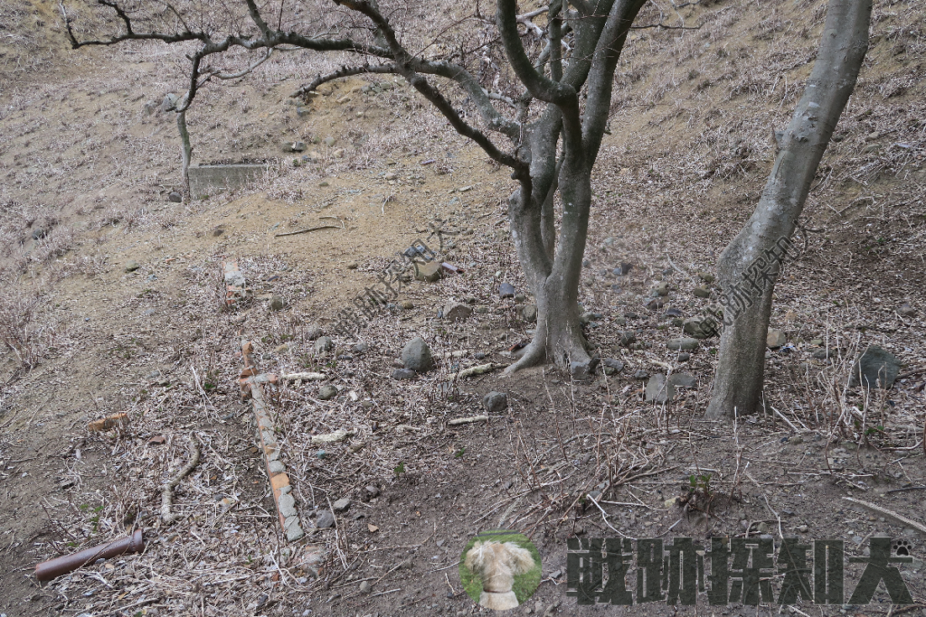 発電機室と思われる遺構(東側より撮影)