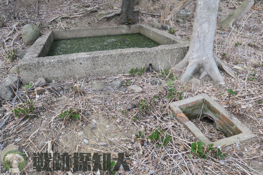 ⑪水槽の状況:第二兵舎から南へ十数メートルに位置する