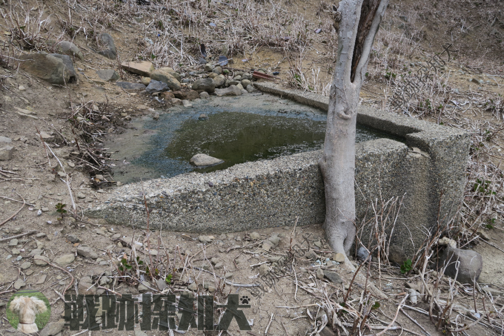 ⑫水槽の状況:一部が土砂で埋まっており、正確な大きさは判然としない