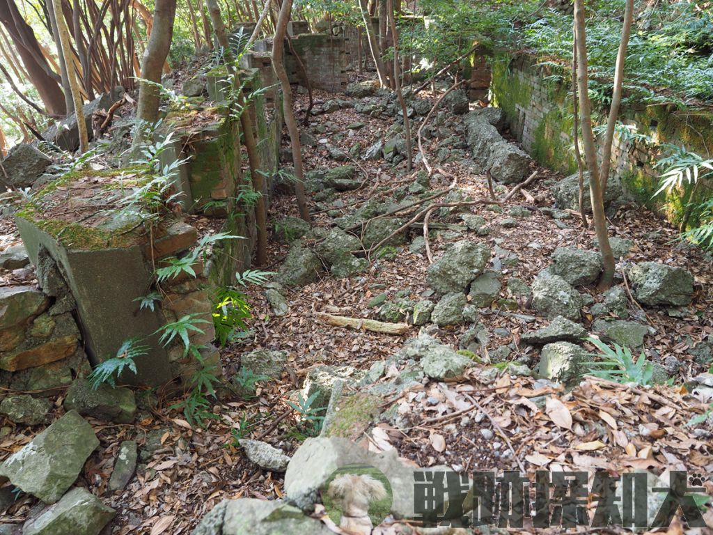 芹崎防備衛所衛所聴音室（その２）：北側より撮影
芹崎防備衛所衛所で最も広い部屋