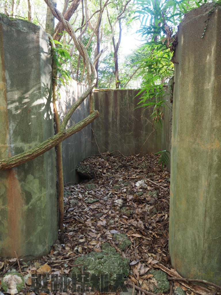 芹崎防備衛所衛所電池室（その１）
西側より撮影　壁にはモルタルが塗られている