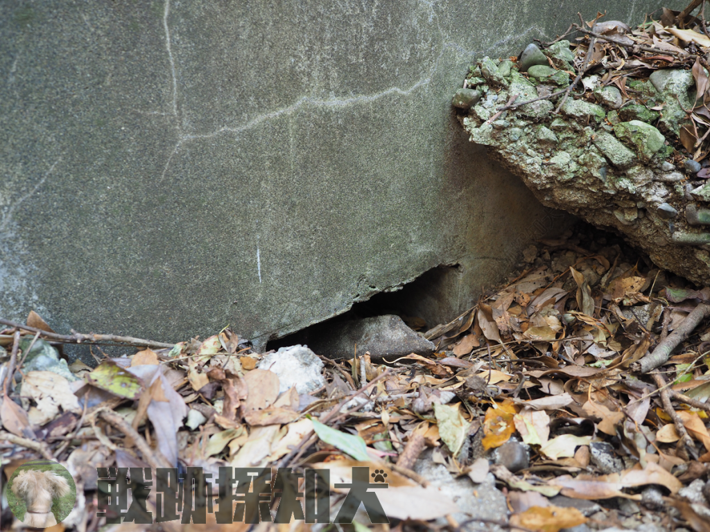 芹崎防備衛所衛所電池室（その２）
北側の壁の下部に穴が開いている。