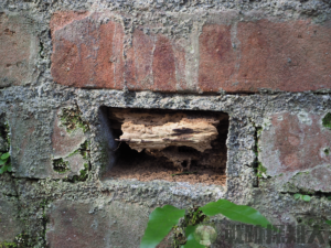 防備衛所の聴音所における壁や天井の「凹み」